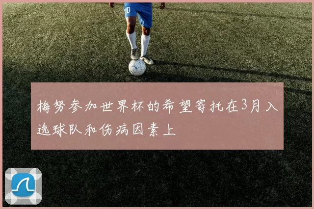 梅努参加世界杯的希望寄托在3月入选球队和伤病因素上